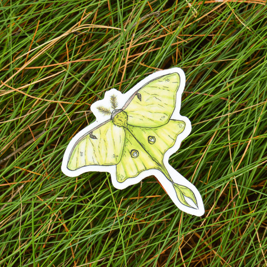 Luna Moth Sticker