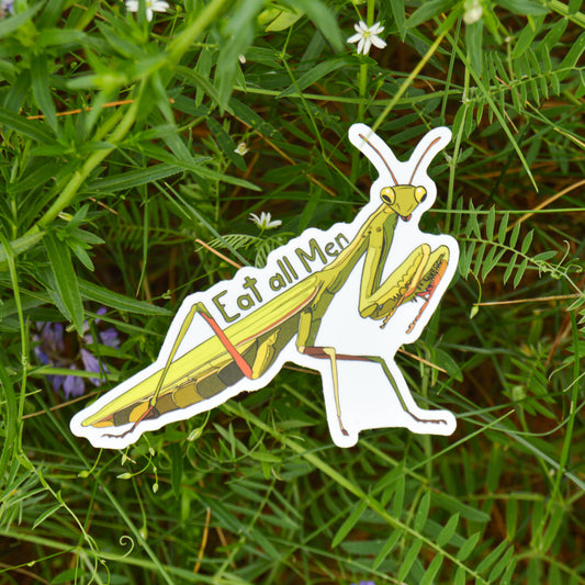 Eat All Men Praying Mantis Sticker