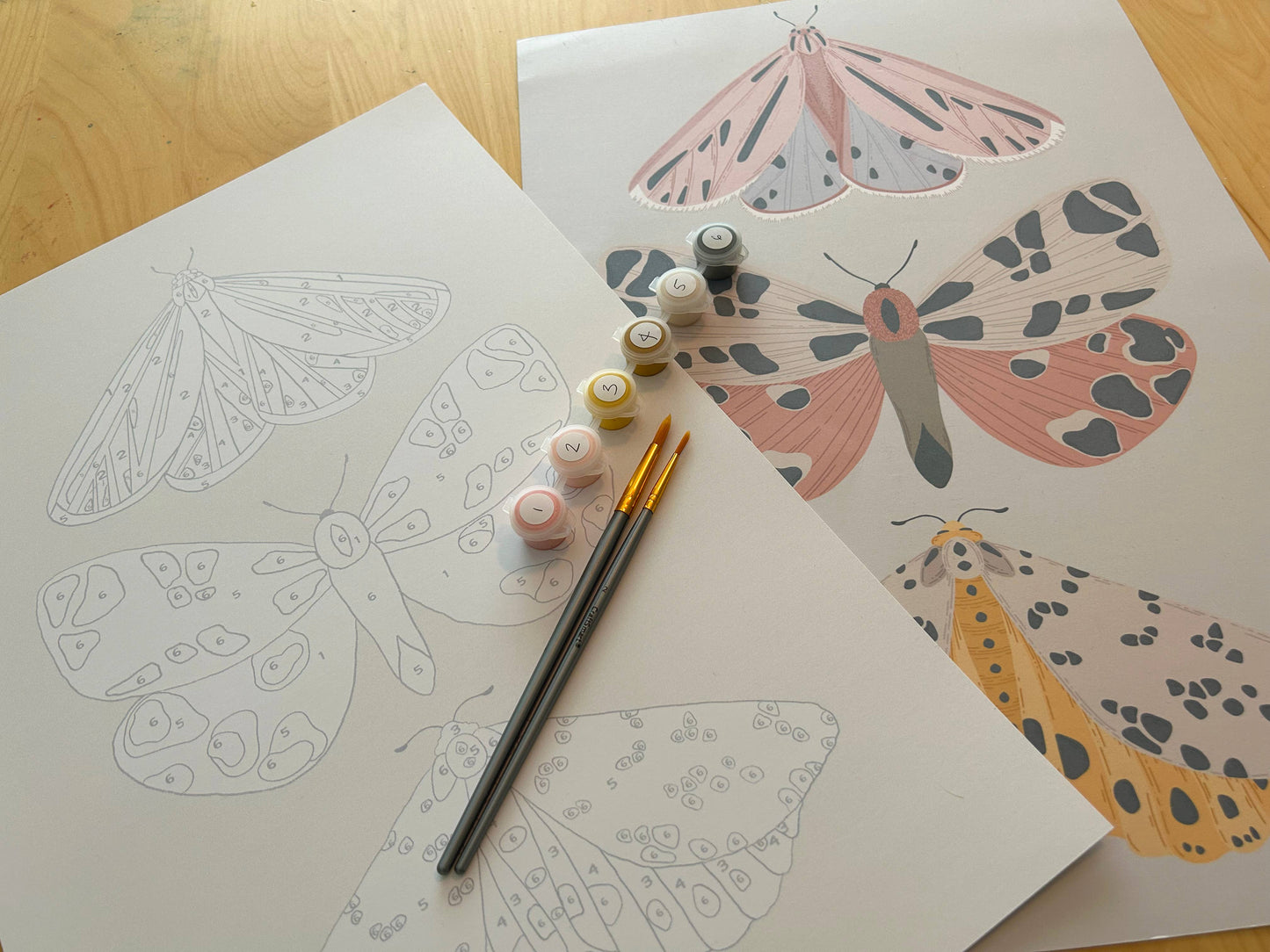 Vintage Butterflies Meditative Art Paint by Number Kit