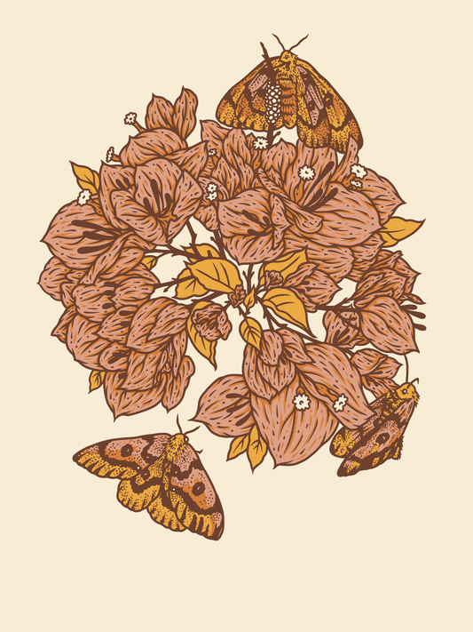 Sheep Moths + Bougainvillea Flowers 6x8" Giclee Print