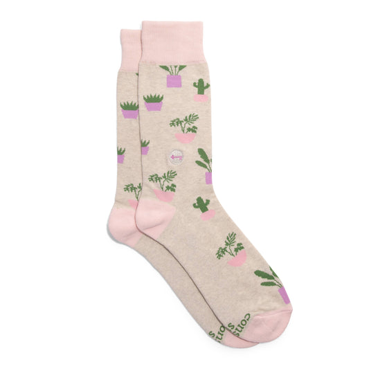 Socks that Build Homes (Pink Houseplants): Medium
