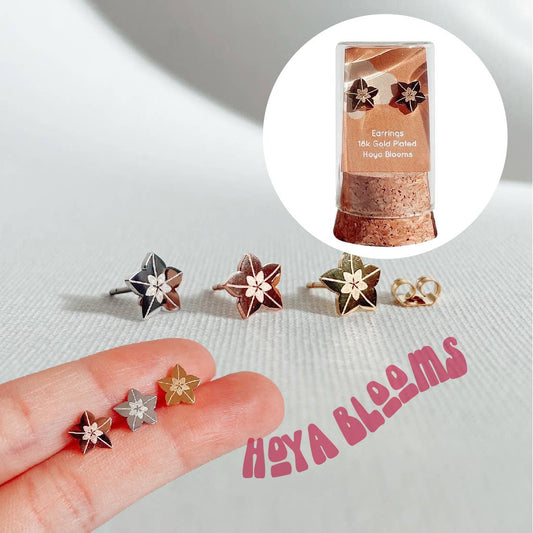 Hoya Blooms | Earrings studs