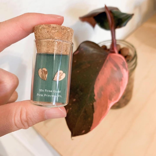 White Knight Ph. Plant Studs | Hypoallergenic