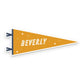 Saranac lake Pennant Sticker