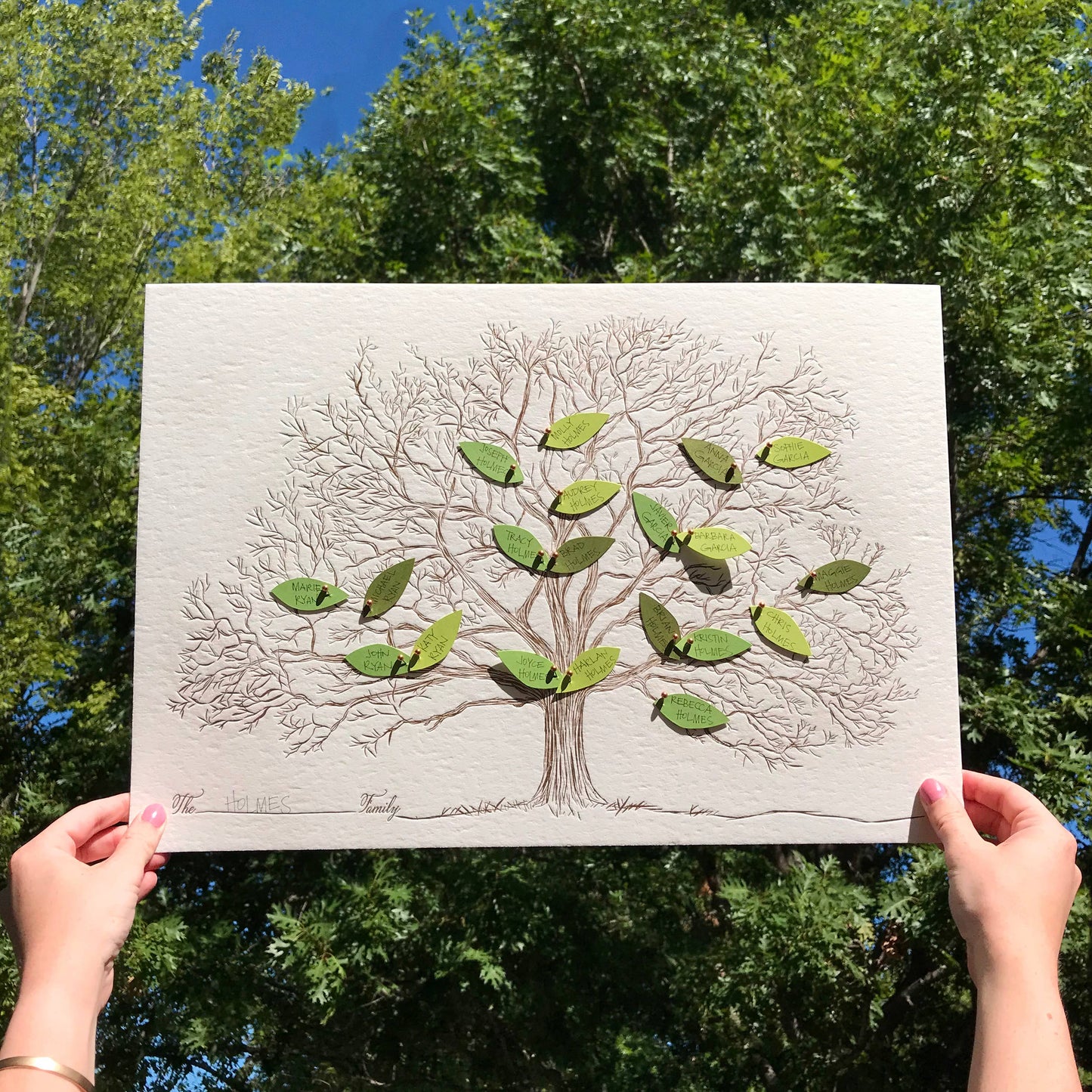 Family Tree | Refill Packs