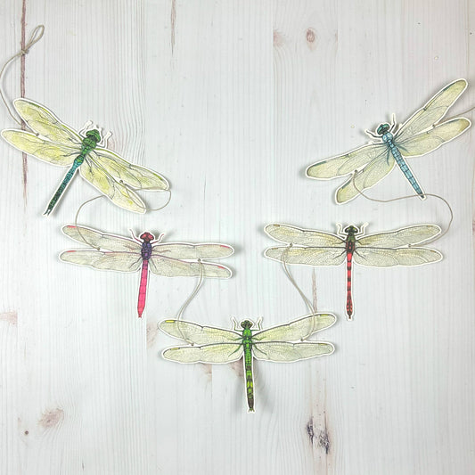 Dragonfly Illustrated Garland