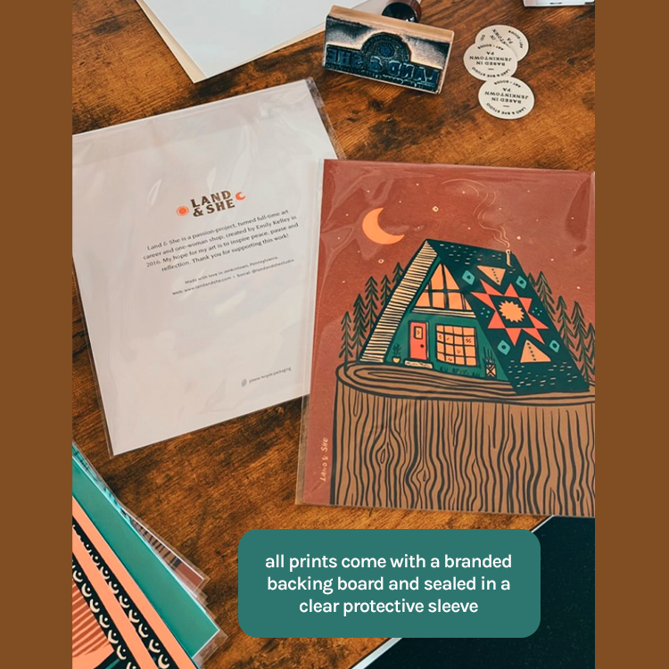 Hummingbird at Night