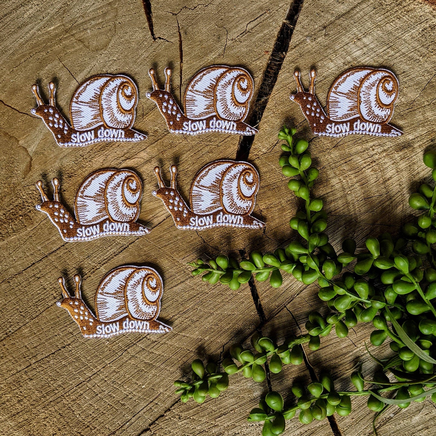 Patch | slow down snail