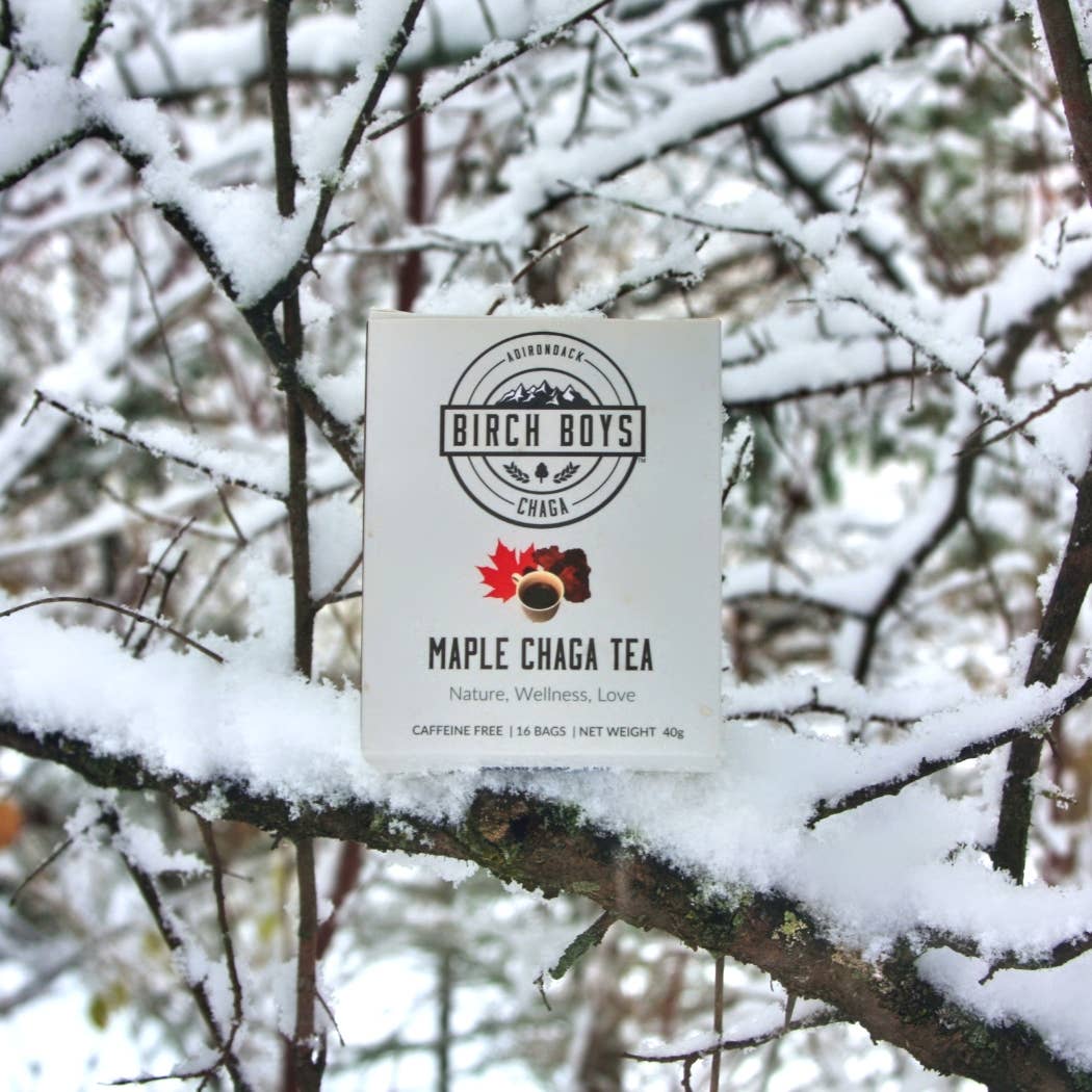 Maple Chaga Tea Bags