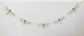 Dragonfly Illustrated Garland
