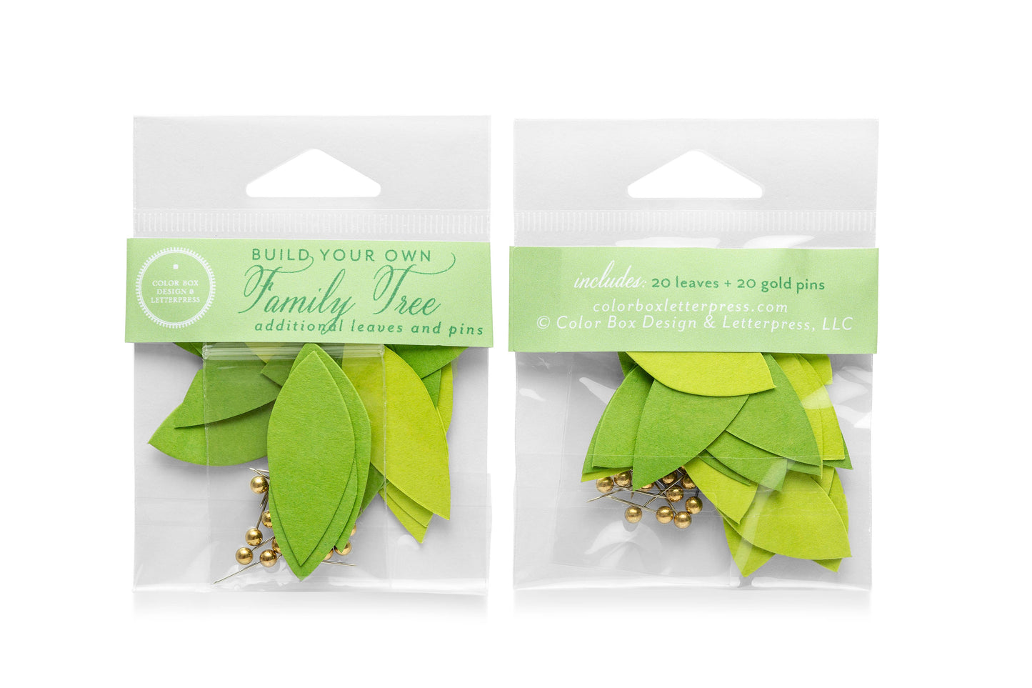 Family Tree | Refill Packs