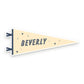 Saranac lake Pennant Sticker