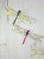 Dragonfly Illustrated Garland