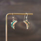 Brook Trout Earrings