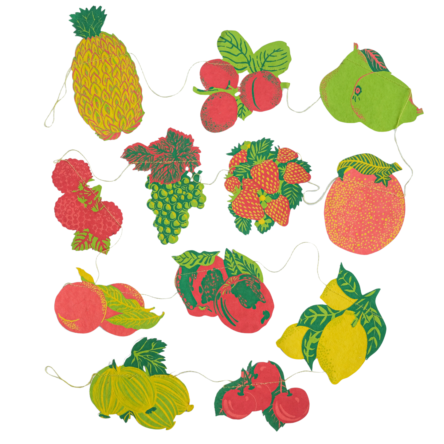 FRUIT SEWN GARLAND