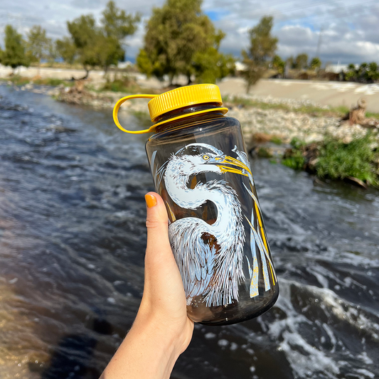 Pasadena Audubon Nalgene: LA River