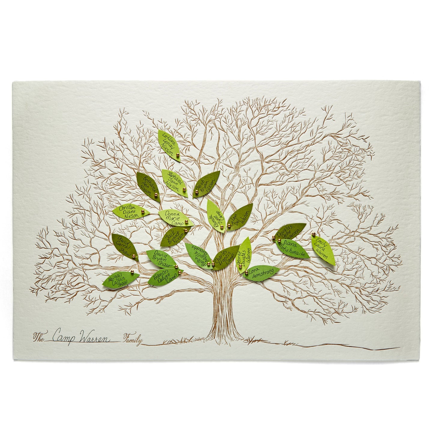Family Tree