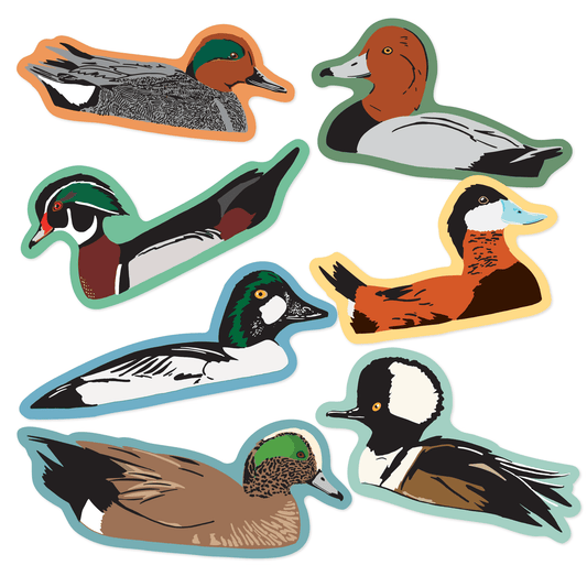 Ducks Sticker Pack