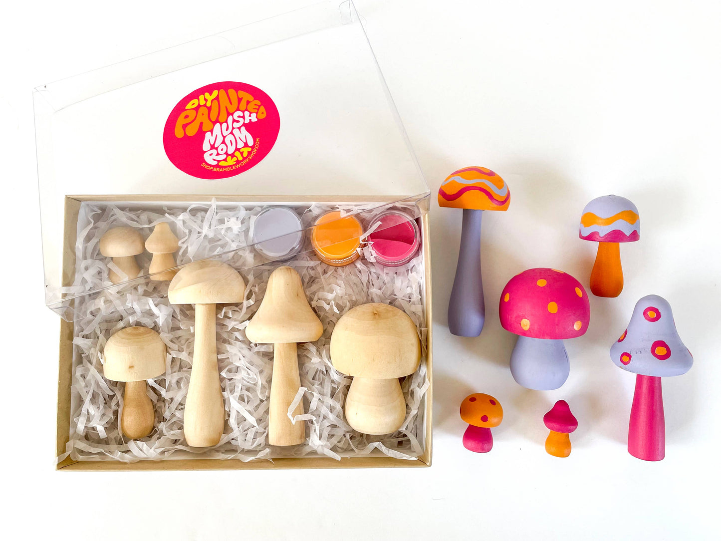 DIY Painted Mushroom Kit- bright