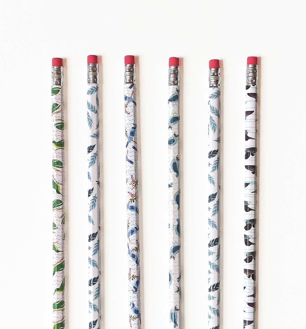 Bird Pencil Set