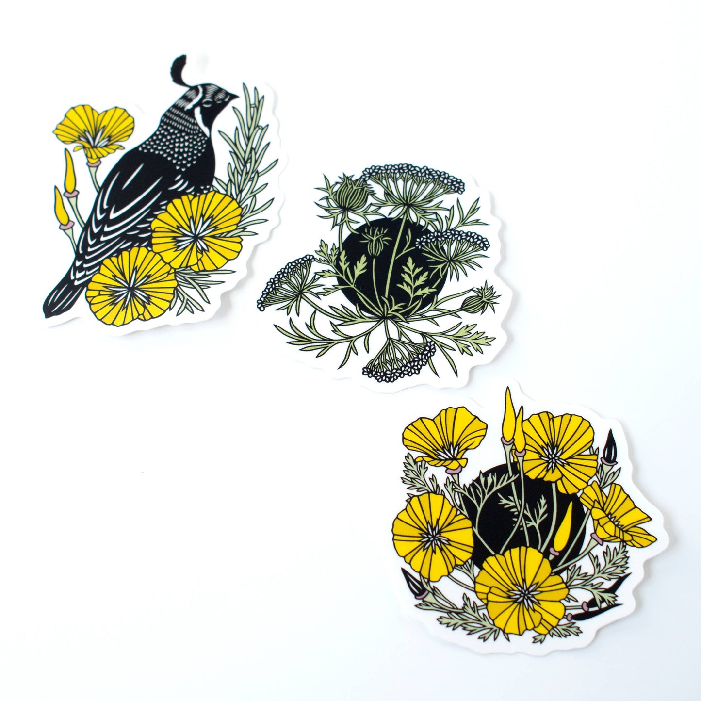 Queen Anne's Lace vinyl sticker