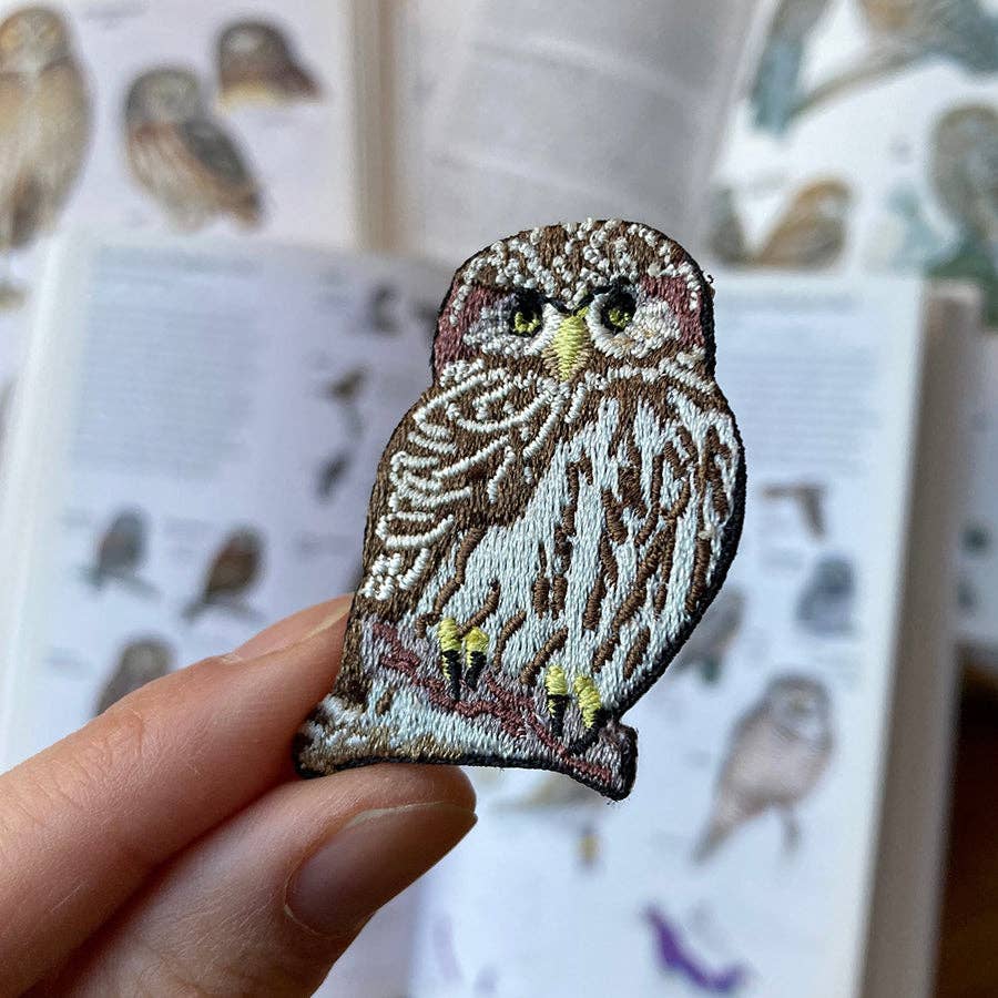 Northern Pygmy-Owl Patch