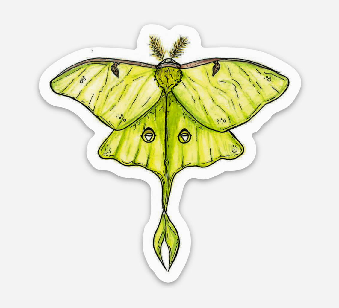 Luna Moth Sticker