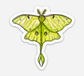 Luna Moth Sticker