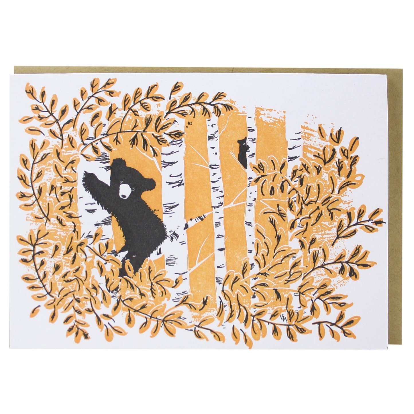 Assorted Spring Animals Note Card Set