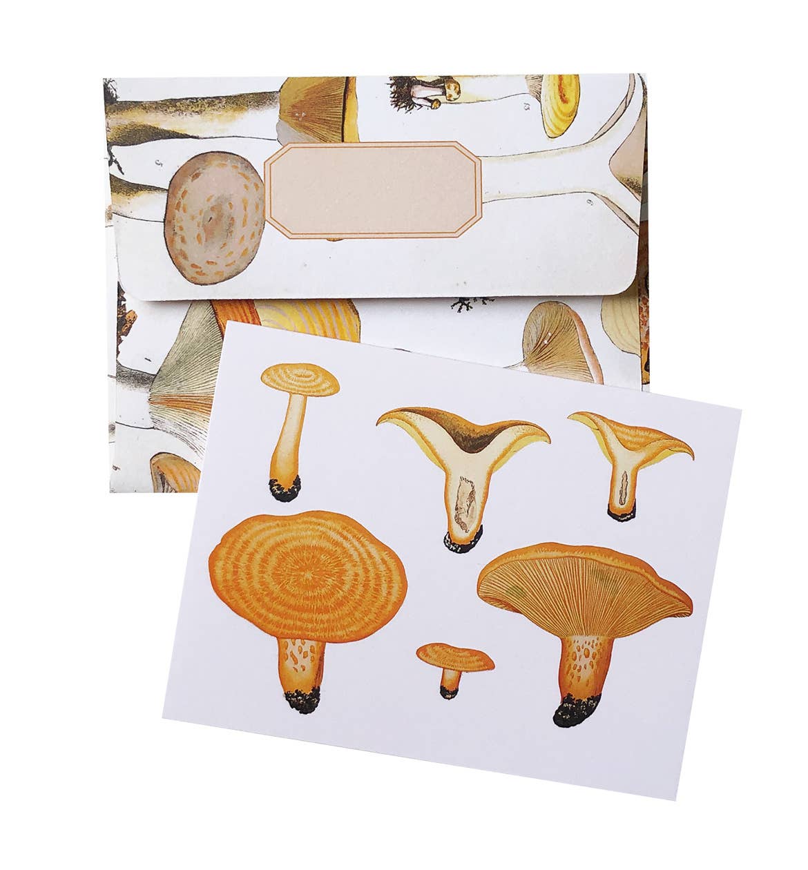 Vintage Mushrooms | Boxed Cards Of 8 Blank Cards