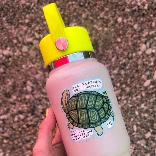 All Tortoises Are Turtles Sticker