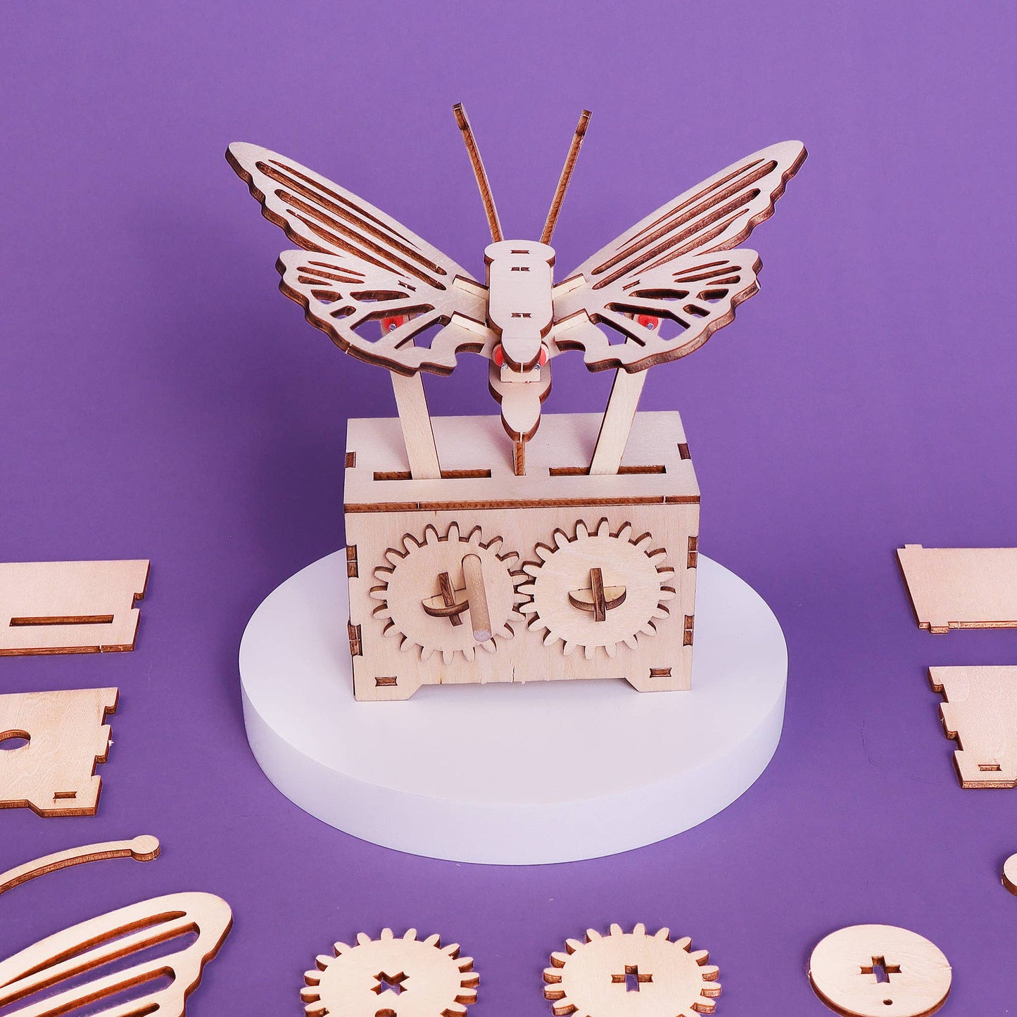 Fluttering Butterfly DIY Kit, Educational STEM Toy for Kids