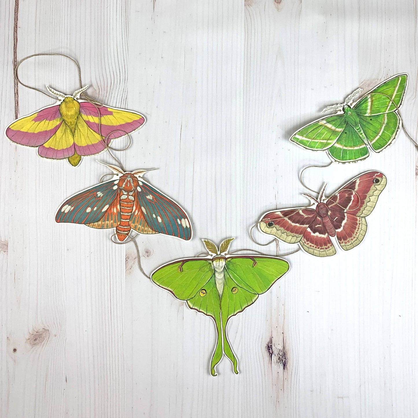 Colorful Moth Illustrated Garland