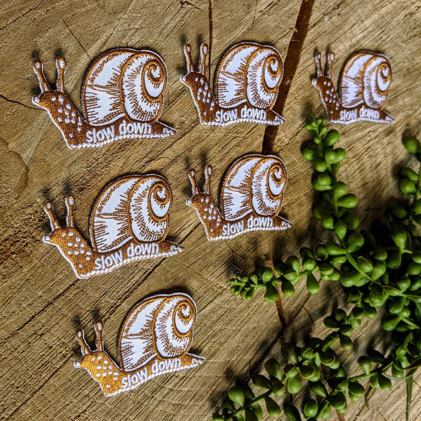 Patch | slow down snail
