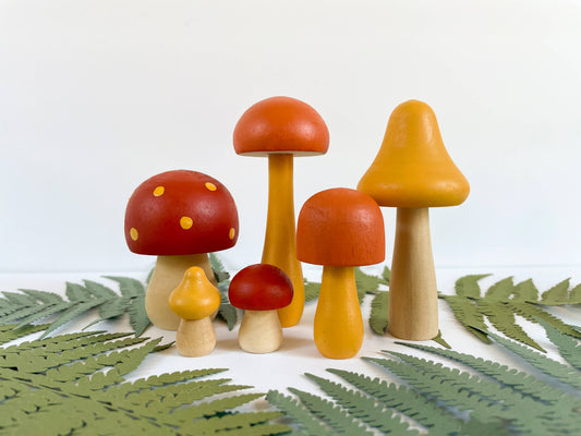 DIY Painted Mushroom Kit- earthy