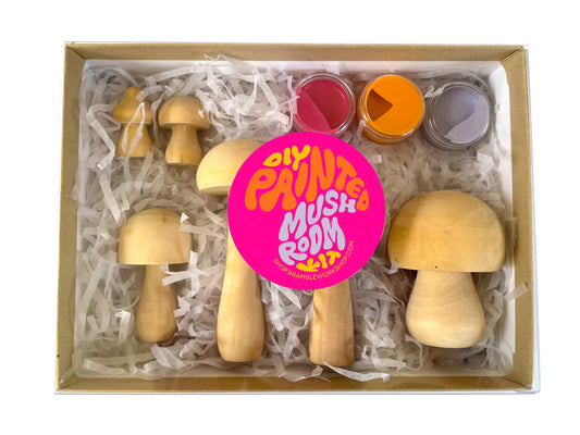 DIY Painted Mushroom Kit- bright