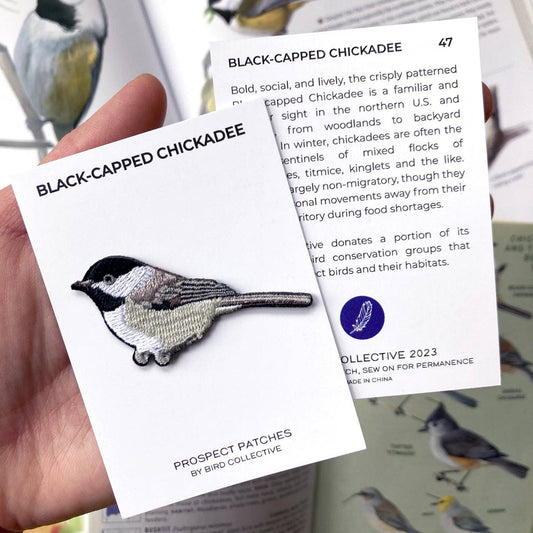 Black-capped Chickadee Patch