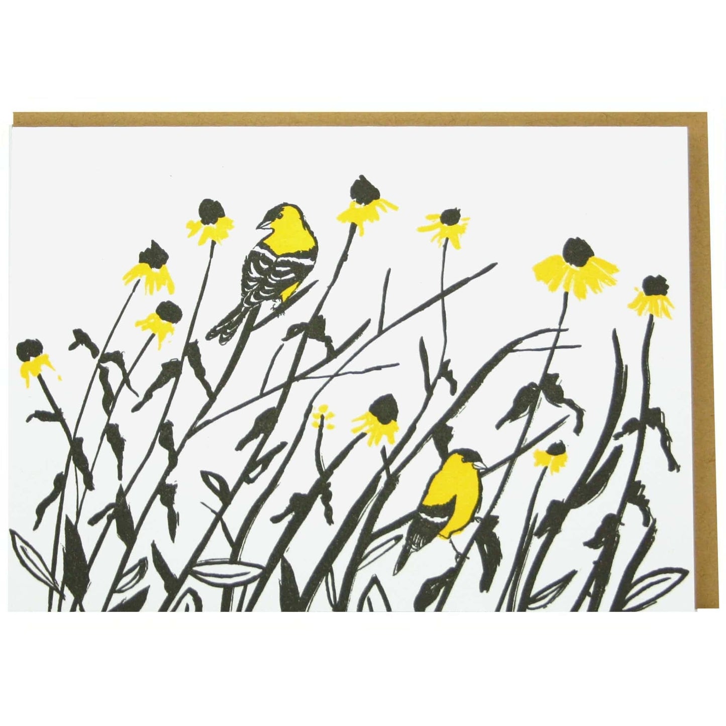 Birds Note Card Bundle (e.b. goodale)