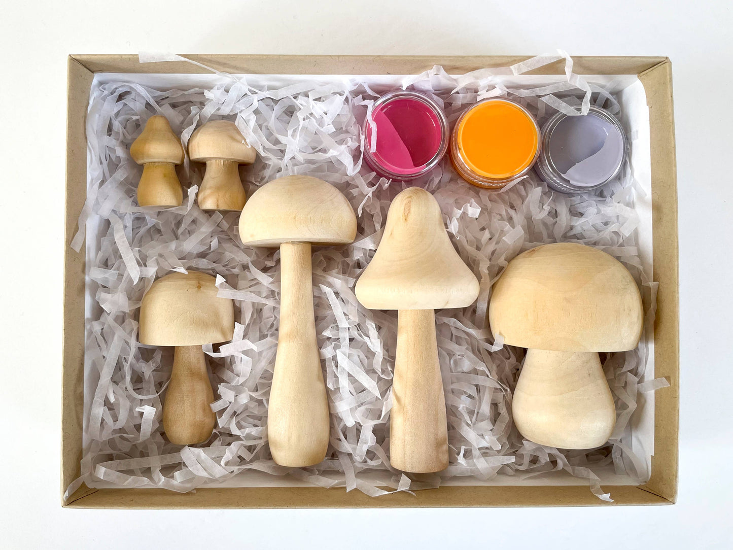 DIY Painted Mushroom Kit- bright