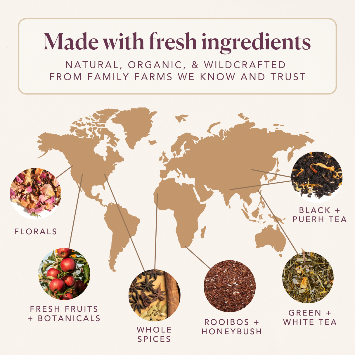 Lemonberry Sunshine Green Loose Leaf Tea Blend