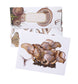 Vintage Mushrooms | Boxed Cards Of 8 Blank Cards