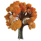 Crystal Growing Maple Tree | 
Craft Kit Science Kit