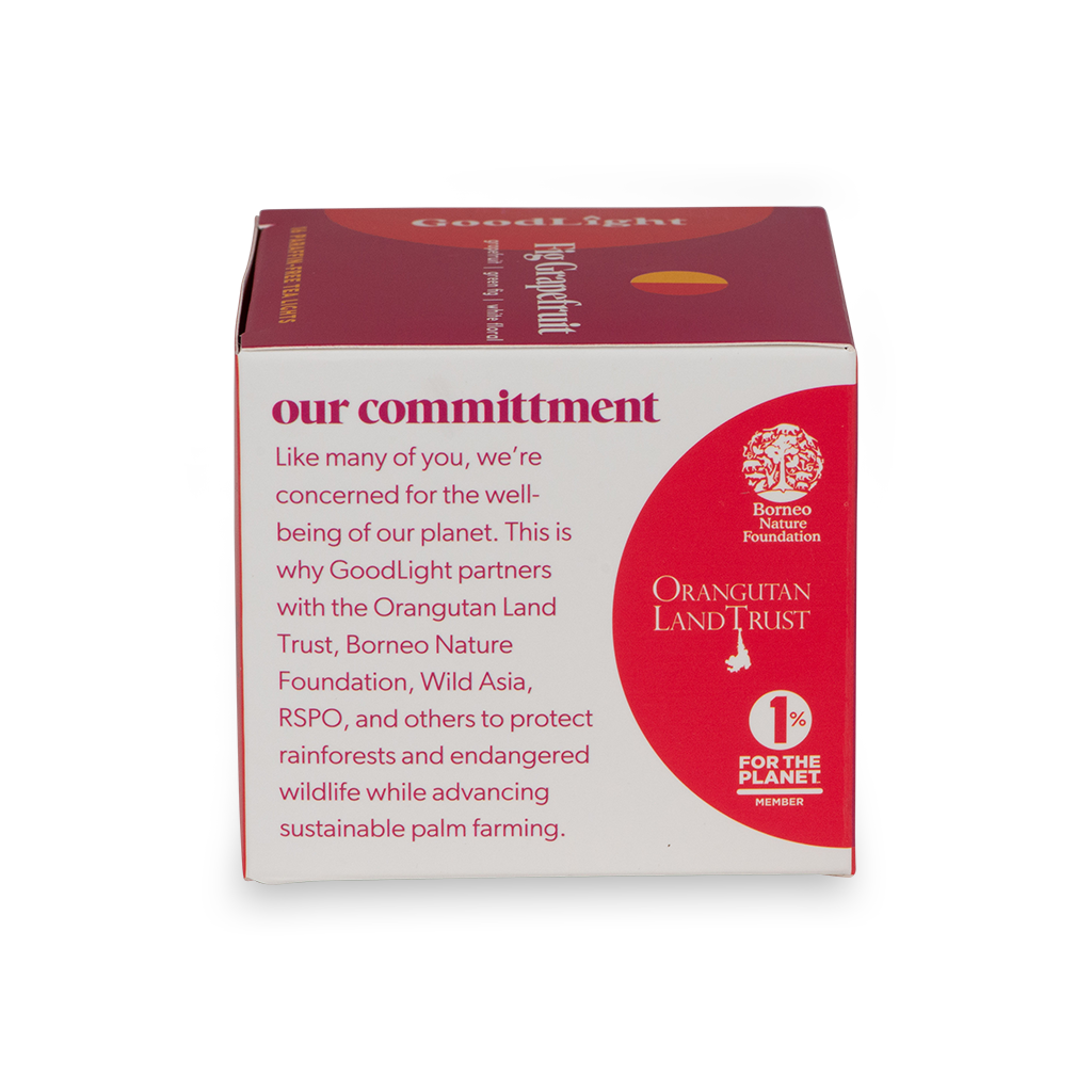 ~ NEW ~ Scented Tea Lights | 16-Count Box