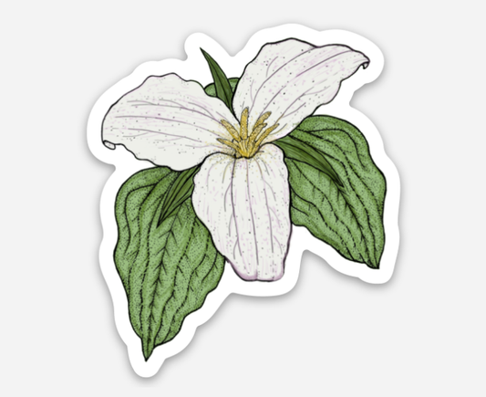 Trillium Sticker native wildflower decal