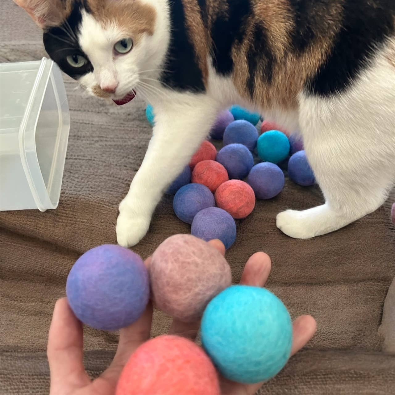 100% Alpaca Wool Cat Rattle Balls – Assorted Colors, 2-Pack