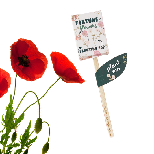 Fortune Flowers Garden + Gift Seed Planting Pop