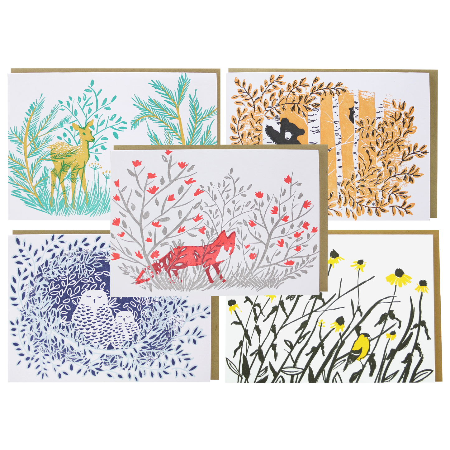 Assorted Spring Animals Note Card Set