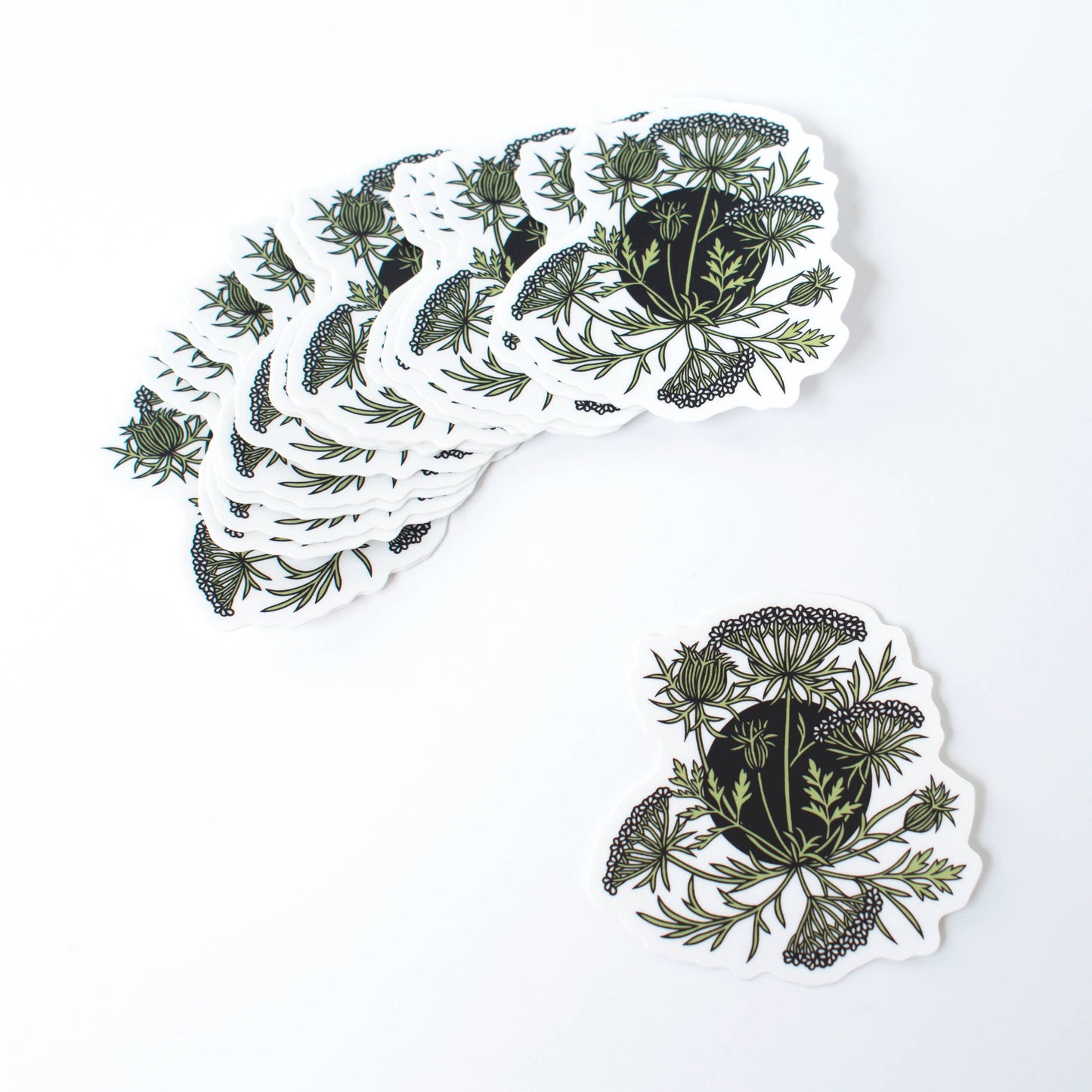 Queen Anne's Lace vinyl sticker