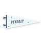 Saranac lake Pennant Sticker