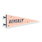 Saranac lake Pennant Sticker